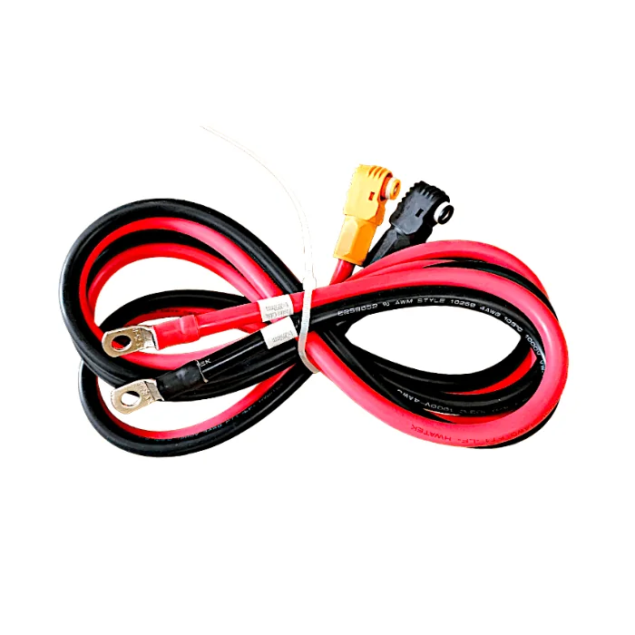 Kit de câbles d'alimentation Dyness B4850 Lithium (200mm, 25mm²)